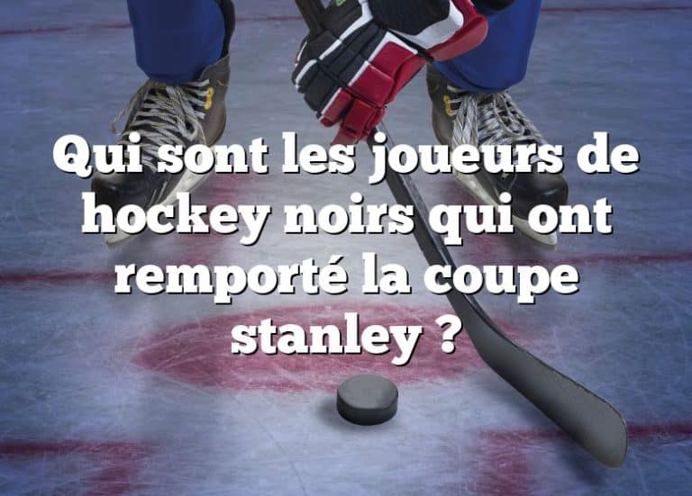 Qui Sont Les Joueurs De Hockey Noirs Qui Ont Remport La Coupe Stanley